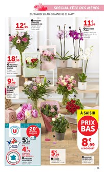 Promotion Plante D'intérieur dans le prospectus Super U, valable du 19/05/2026 au 31/05/2026 Promo Plante D'intérieur dans le catalogue Super U du moment à la page 25