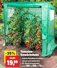 Tomaten-Gewächshaus von  im aktuellen Thomas Philipps Prospekt für 19,99 €