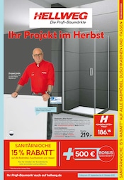 Aktueller Hellweg Prospekt mit Dusche, "Die Profi-Baumärkte", Seite 11
