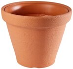 Klassisches Kunststoff-Pflanzgefäß im Angebot bei Penny in Seevetal Klassisches Kunststoff-Pflanzgefäß Angebote bei Penny Seevetal für 4,99 €