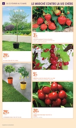 Prix et réduction Arbre Fruitier dans le prospectus Intermarché Hyper en cours Offre Arbre Fruitier dans le catalogue Intermarché Hyper du moment à la page 6