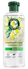 Shampoo von Herbal Essences im aktuellen Rossmann Prospekt für 2,64 €