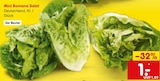 Aktuelles Mini Romana Salat Angebot bei Netto Marken-Discount in Würzburg ab 1,00 €