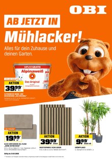 Fliesen im OBI Prospekt "BIBERSTARKE ANGEBOTE" mit 16 Seiten (Pforzheim)