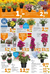 Gartenmöbel im Globus-Baumarkt Prospekt in Bochum Aktueller Globus-Baumarkt Prospekt mit Gartenmöbel, "Immer eine Idee besser", Seite 5