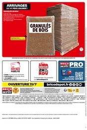 Granulé Bois Angebote im Prospekt "PRIX DÉPÔT" von Brico Dépôt auf Seite 12
