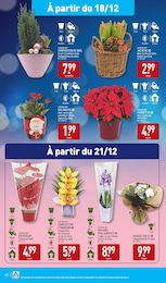 Offre Plantation dans le catalogue Aldi du moment à la page 44