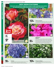 Hortensia Angebote im Prospekt "PRÉPAREZ L’AUTOMNE : JARDIN - BRICOLAGE" von Carrefour auf Seite 6