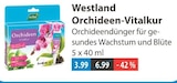 Orchideen-Vitalkur im Angebot bei V-Markt in Regensburg Orchideen-Vitalkur Angebote von Westland bei V-Markt Regensburg für 3,99 €
