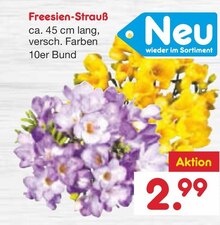Freesien-Strauß bei Netto Marken-Discount in Halle Freesien-Strauß im Angebot bei Netto Marken-Discount Halle für 2,99 €