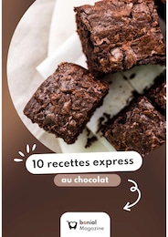 Prospectus Recettes à Villeneuve-sur-Lot, "10 recettes express au chocolat", 1 page, 22/03/2024 - 14/04/2024