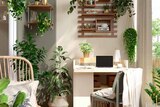 Efeu von GROW by OBI im aktuellen OBI Prospekt