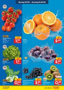 Weintrauben im Netto Marken-Discount Prospekt "Aktuelle Angebote" mit 73 Seiten (Dresden)