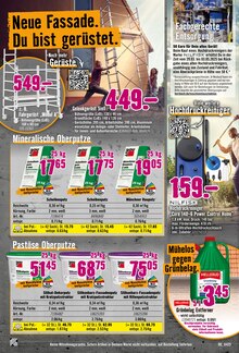 Drucker im Hornbach Prospekt "Lass Deine Terrasse aufblühen." mit 32 Seiten (Paderborn)