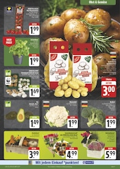Ähnliche Angebote wie Weihnachtsstern im Prospekt "Wir lieben Lebensmittel!" auf Seite 9 von EDEKA in Schwabach