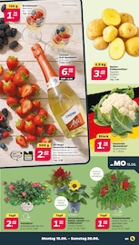 Spirituosen im Netto mit dem Scottie Prospekt in Stendal Aktueller Netto mit dem Scottie Prospekt mit Spirituosen, "Günstig. Besser. Für Dich.", Seite 3