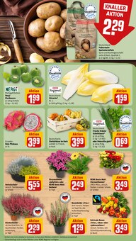Blumen im REWE Prospekt "Dein Markt" mit 32 Seiten (Augsburg)