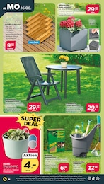 Dünger Angebot im aktuellen Netto mit dem Scottie Prospekt auf Seite 21