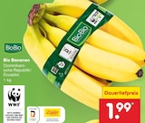 Aktuelles Bio Bananen Angebot bei Netto Marken-Discount in Paderborn ab 1,99 €