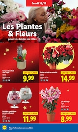 Fleurs Angebote im Prospekt "Joyeux Noël avec Deluxe" von Lidl Fleurs Angebote im Prospekt "Joyeux Noël avec Deluxe" von Lidl auf Seite 36