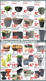 Jeans im Wreesmann Prospekt in Görlitz Aktueller Wreesmann Prospekt mit Jeans, "DEIN SAISON- & SONDERPOSTENMARKT!", Seite 12