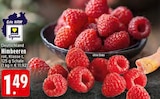 EDEKA - Himbeeren Angebot im Prospekt Himbeeren bei EDEKA im Prospekt "" für 1,49 €