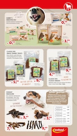 Aktueller Zookauf Prospekt mit Ente, "ALLES BEREIT FÜR EUREN FRÜHLING", Seite 7