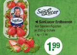 Erdbeeren von SanLucar im aktuellen V-Markt Prospekt für 1,99 €