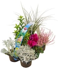 Herbstlicher Blumen-Mix im Angebot bei REWE in Wetzlar Herbstlicher Blumen-Mix Angebote bei REWE Wetzlar für 5,99 €
