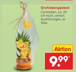 Orchideengesteck im Angebot bei Netto Marken-Discount in Oldenburg Orchideengesteck Angebote bei Netto Marken-Discount Oldenburg für 9,99 €