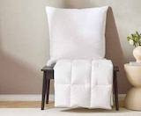 Aktuelles Ganzjahresbett Angebot bei XXXLutz Möbelhäuser in Duisburg ab 69,99 €