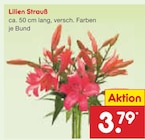 Lilien Strauß im aktuellen Netto Marken-Discount Prospekt