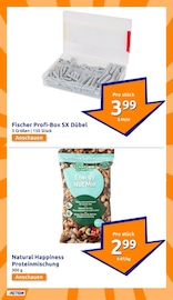 Aktueller Action Prospekt mit Fisch, "kleine Preise, grosse Freude!", Seite 4