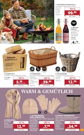 Getränke im Dehner Garten-Center Prospekt in Albstadt Aktueller Dehner Garten-Center Prospekt mit Getränke, "ZAUBERHAFTER HERBST", Seite 5