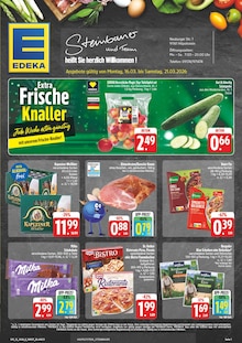 Aktueller EDEKA Prospekt "Wir lieben Lebensmittel!" Aktueller EDEKA Prospekt