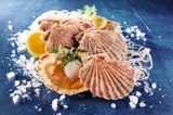 COQUILLE SAINT-JACQUES - SANS MARQUE en promo chez Auchan Hypermarché Roubaix à 5,99 €
