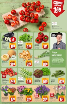Pflanzen im aktuellen REWE Prospekt (Kiel) Pflanzen im REWE Prospekt "Dein Markt" mit 36 Seiten (Kiel)