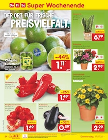 Blumen im Netto Marken-Discount Prospekt "Aktuelle Angebote" mit 67 Seiten (Augsburg)