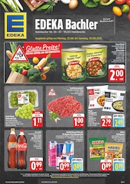 EDEKA Prospekt für Schauenstein mit 52 Seiten EDEKA Prospekt für Schauenstein: „Wir lieben Lebensmittel!”, 52 Seiten, 25.08.2025 - 30.08.2025