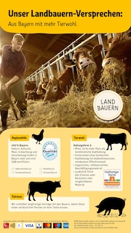 REWE Veitshöchheim Prospekt der aktuellen Woche, gültig von 03.11.2025 bis 08.11.2025 Aktueller REWE Veitshöchheim Prospekt "Dein Markt" mit 28 Seiten