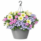Jardiland Châtellerault - Promo Suspension d'annuelles ECLOZ Promo Suspension d'annuelles ECLOZ à 14,99 € dans le catalogue Jardiland à Châtellerault