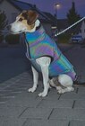 Wintermantel Lilly Angebote von AniOne bei Fressnapf Bornheim für 25,99 €
