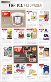 Aktueller ZG Raiffeisen Prospekt mit Spielzeug, "BLÜTENPRACHT LEICHT GEMACHT", Seite 6