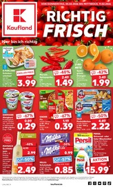 Aktueller Kaufland Prospekt mit Persil, "Aktuelle Angebote", Seite 1