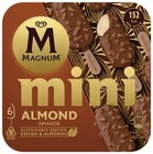 Glace bâtonnet mini amande x6 - MAGNUM en promo chez Intermarché Super Glace bâtonnet mini amande x6 - MAGNUM dans le catalogue Intermarché Super