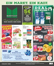 Marktkauf Discounter Prospekt der aktuellen Woche mit 16 Seiten, gültig von 06.07.2026 bis 11.07.2026, in Paderborn und Umgebung Aktueller Marktkauf Discounter Prospekt in Paderborn und Umgebung, "Aktuelle Angebote" mit 16 Seiten, 06.07.2026 - 11.07.2026
