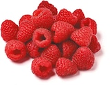 Himbeeren bei Netto mit dem Scottie im Borna Prospekt für 1,99 €