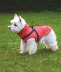 MANTEAU TOM CORAIL - CROCI CANIFRANCE en promo chez Animalis MANTEAU TOM CORAIL - CROCI CANIFRANCE dans le catalogue Animalis