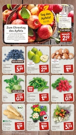 Aktueller nahkauf Prospekt mit Garten, "nichts liegt näher", Seite 3