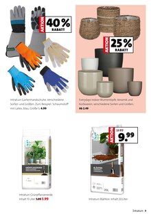 Schuhe im aktuellen Moubis Pflanzenhof Prospekt (Osnabrück) Schuhe im Moubis Pflanzenhof Prospekt "Faszinierend, was Grün alles kann" mit 10 Seiten (Osnabrück)